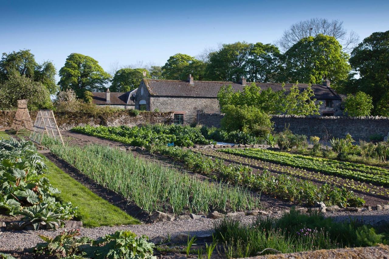 The Stable Yard House At Burtown House & Gardens Villa Athy Bagian luar foto